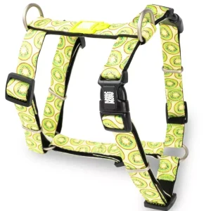 Шлея Ківі H-Harness — Kiwi/S Шлея Ківі H-Harness — Kiwi/S