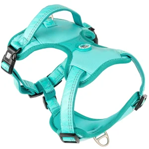Sport Harness — Matrix 2.0 Turquoise/XL Sport Harness — Matrix 2.0 Turquoise/XL