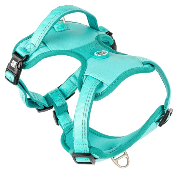 Sport Harness — Matrix 2.0 Turquoise/S
