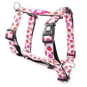 H-Harness — Strawberry Dream/L H-Harness — Strawberry Dream/L